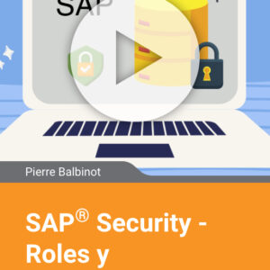 SAP Security - Roles y autorizaciones