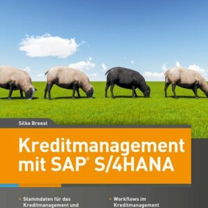 Kreditmanagement mit SAP S/4HANA