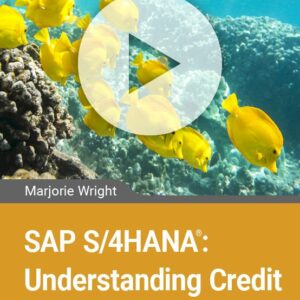 SAP S/4HANA: Understanding Credit Management