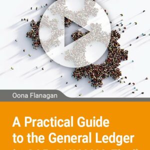 A Practical Guide to the General Ledger in SAP S/4HANA Fiori