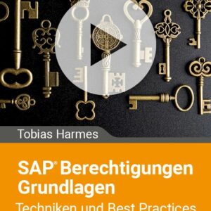 SAP-Berechtigungen Grundlagen - Techniken und Best Practices für mehr Sicherheit in SAP