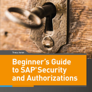 Beginner`s Guide to SAP Security and Authorizations