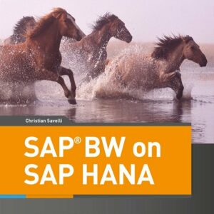 SAP BW on SAP HANA