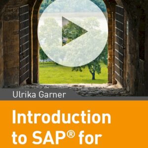 Introduction to SAP for Beginners