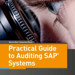Practical Guide to Auditing SAP Systems