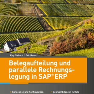 Belegaufteilung und parallele Rechnungslegung in SAP ERP