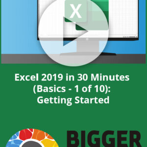 Excel 2019 in 30 Minutes Basics