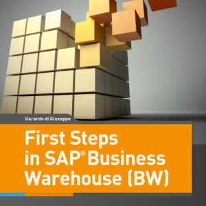 First Steps in SAP Business Warehouse (BW)