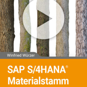 SAP S/4HANA Materialstamm Customizing