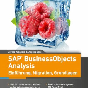 SAP BusinessObjects Analysis - Einführung, Migration, Grundlagen