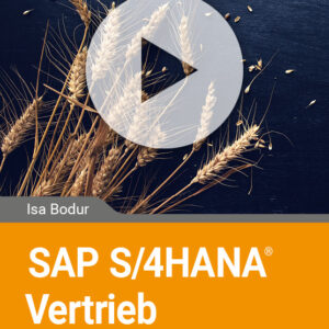 SAP S/4HANA Vertrieb - Naturalrabatte in SAP